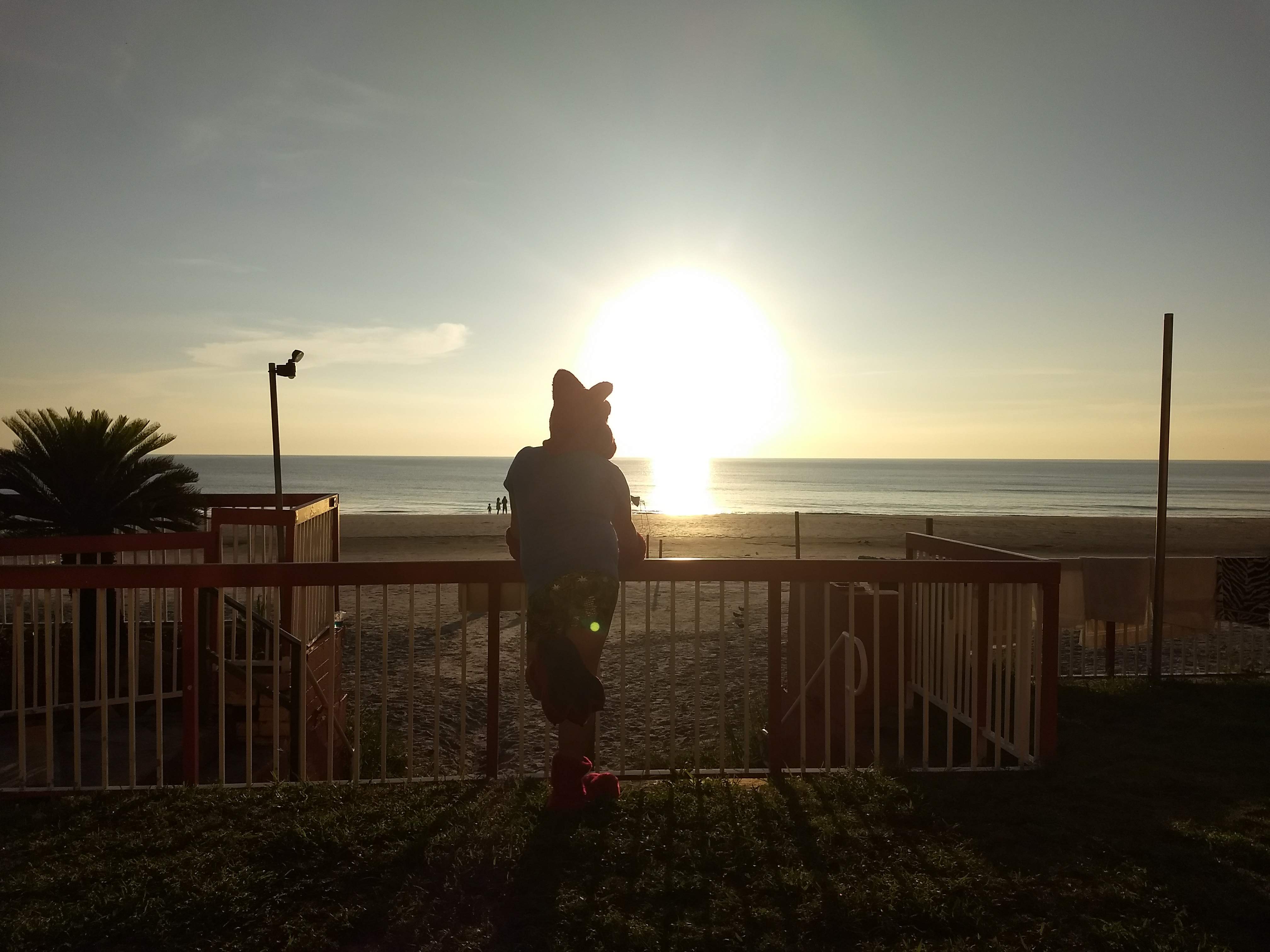 Tech sniffing mission